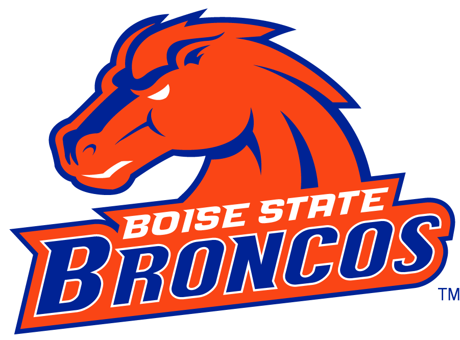 Boise State Broncos 2002-2012 Secondary Logo v8 iron on transfers for T-shirts